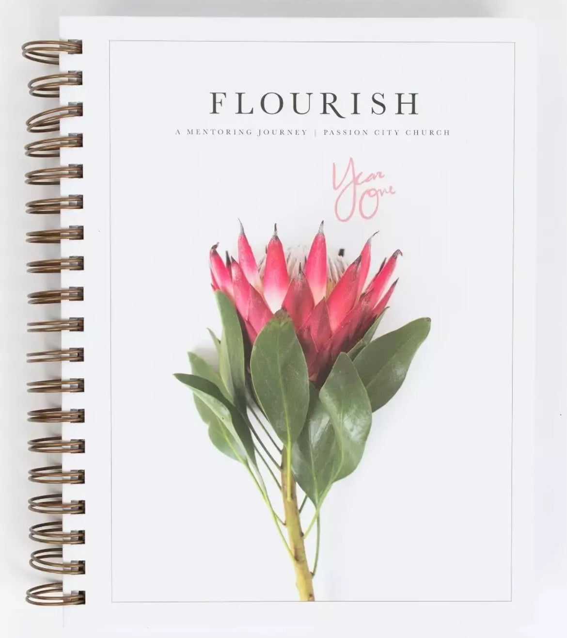 Flourish: A Mentoring Journey, Year One - I AM INTENTIONAL