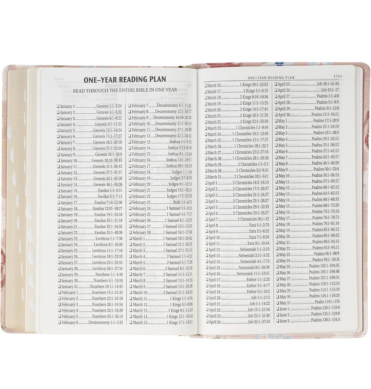 KJV Holy Bible, Giant Print Standard Size Red Letter Edition - I AM INTENTIONAL 