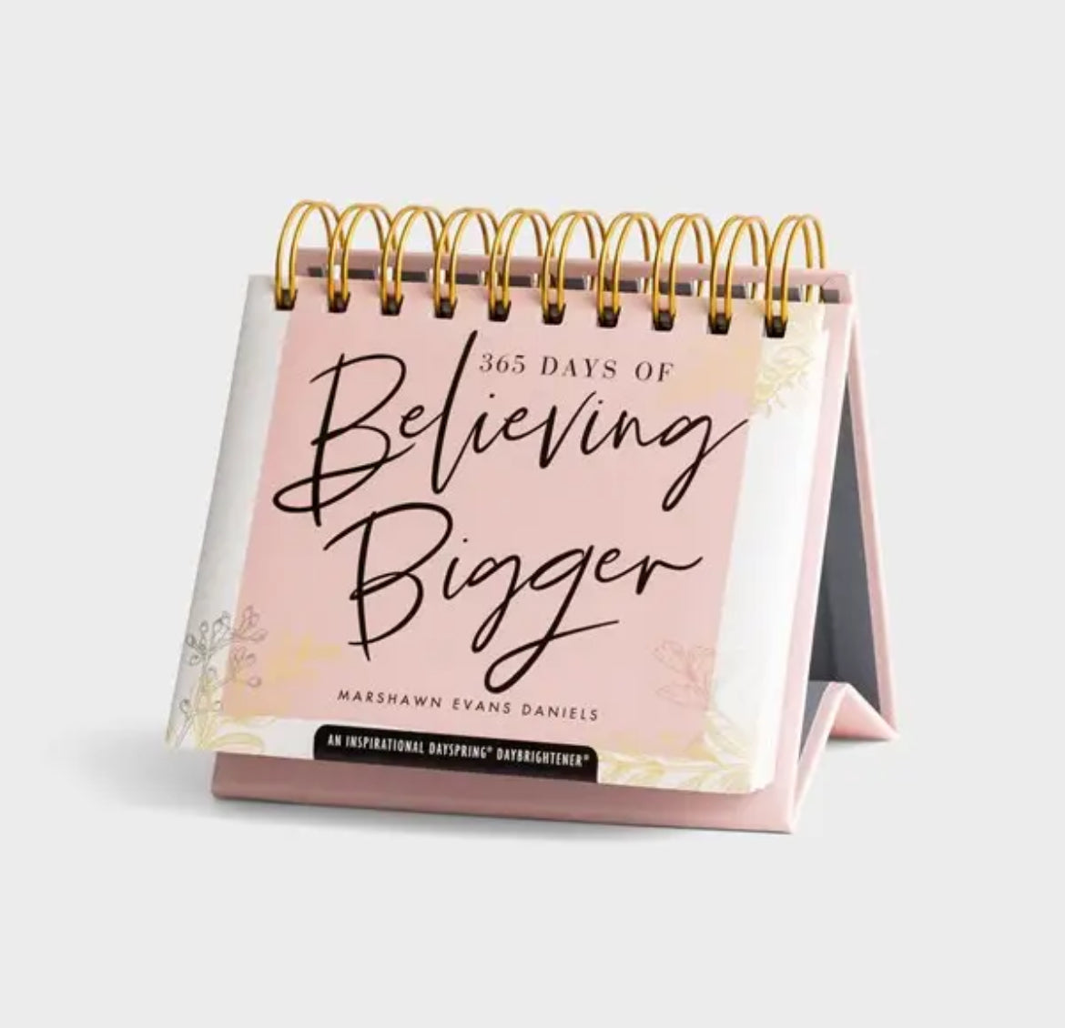 Believing Bigger Calendar and Devotional Journal - Gift Set - I AM INTENTIONAL 