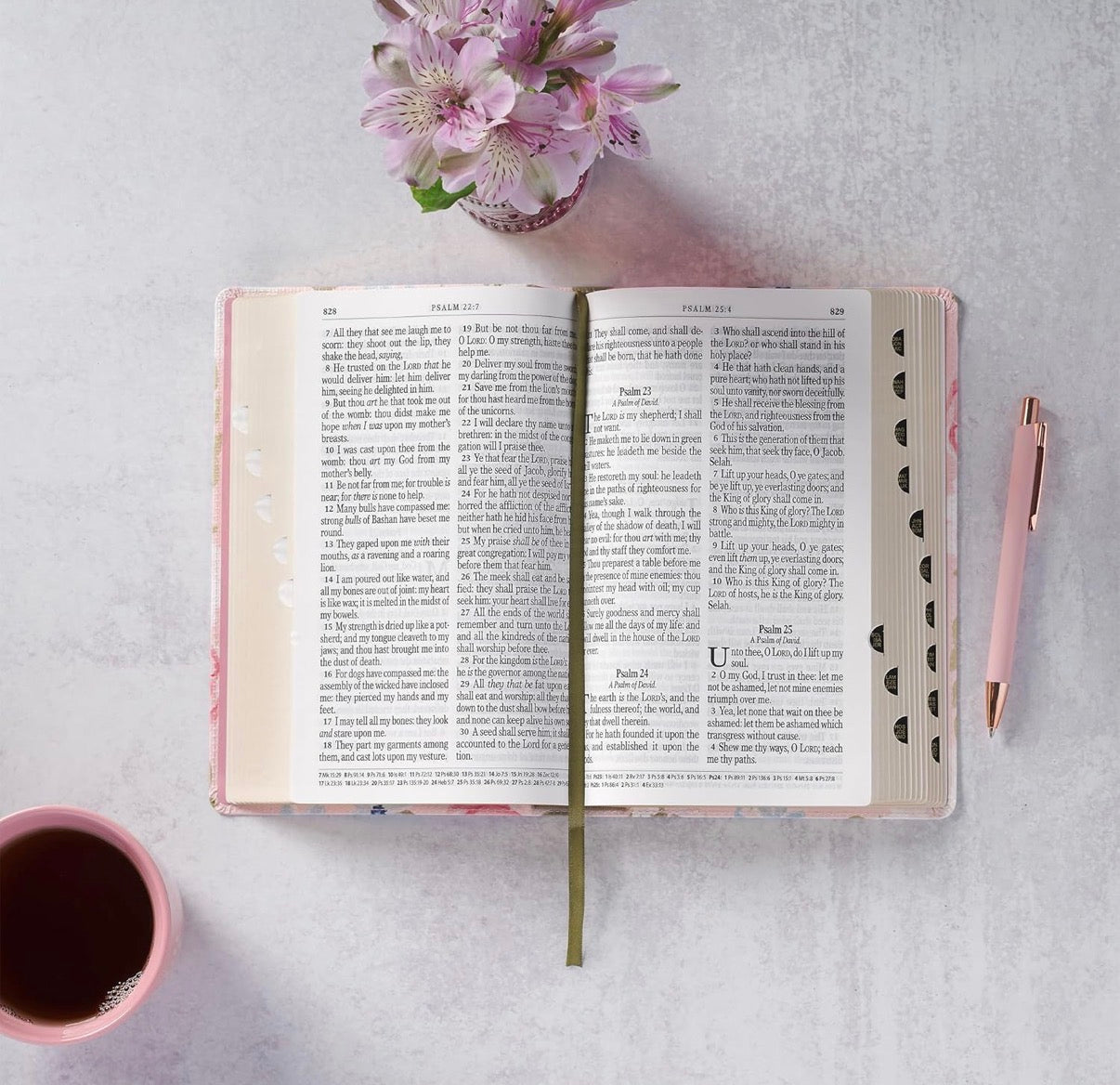 KJV Holy Bible, Giant Print Standard Size Red Letter Edition - I AM INTENTIONAL 