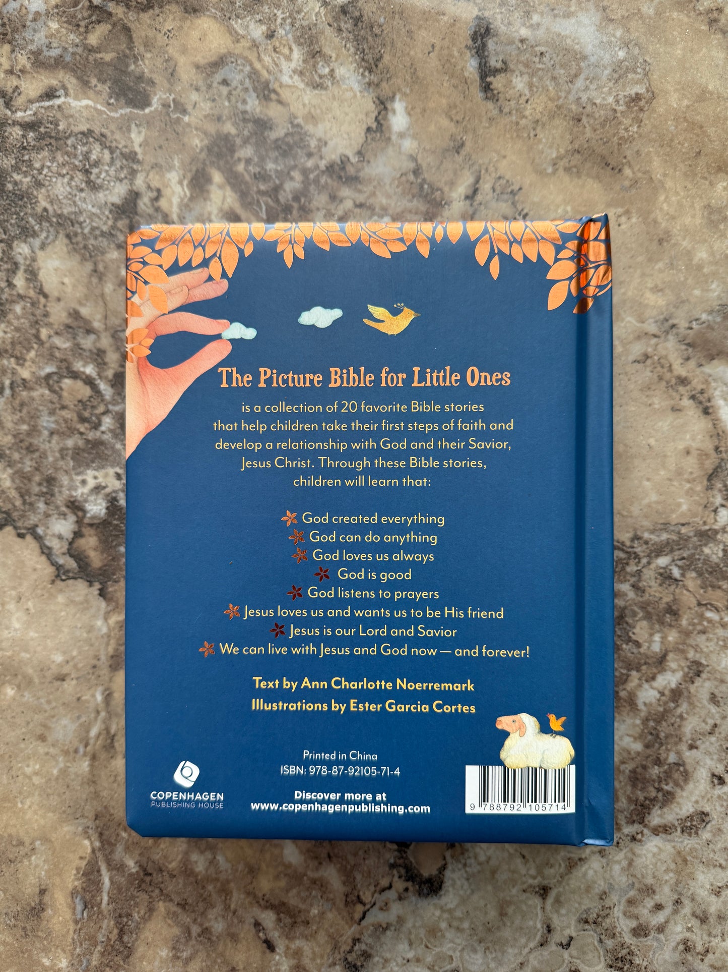The Picture Bible for Little Ones - I AM INTENTIONAL 