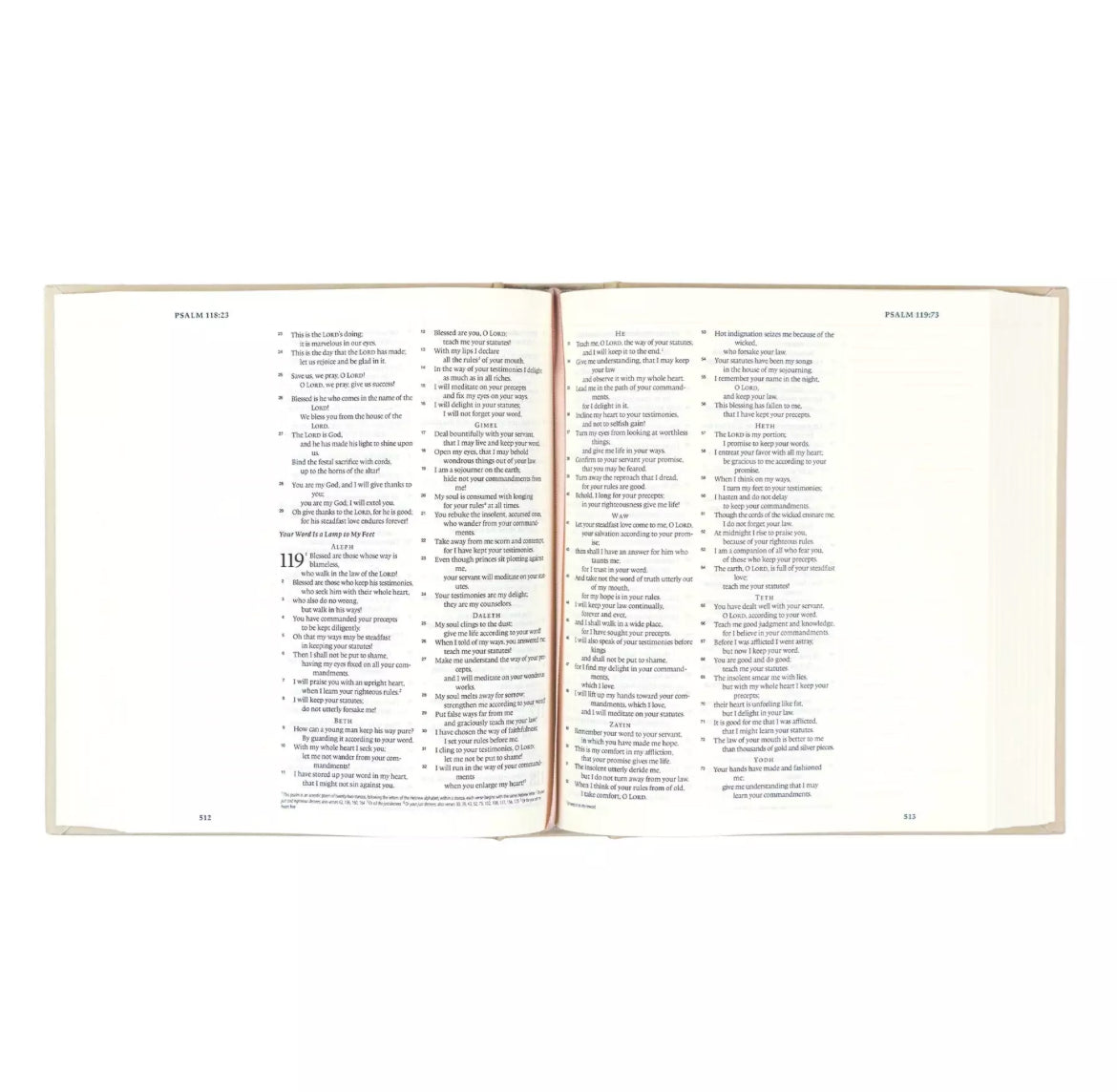 Hosanna Revival ESV Journaling Bible: Salamanca Theme - I AM INTENTIONAL 