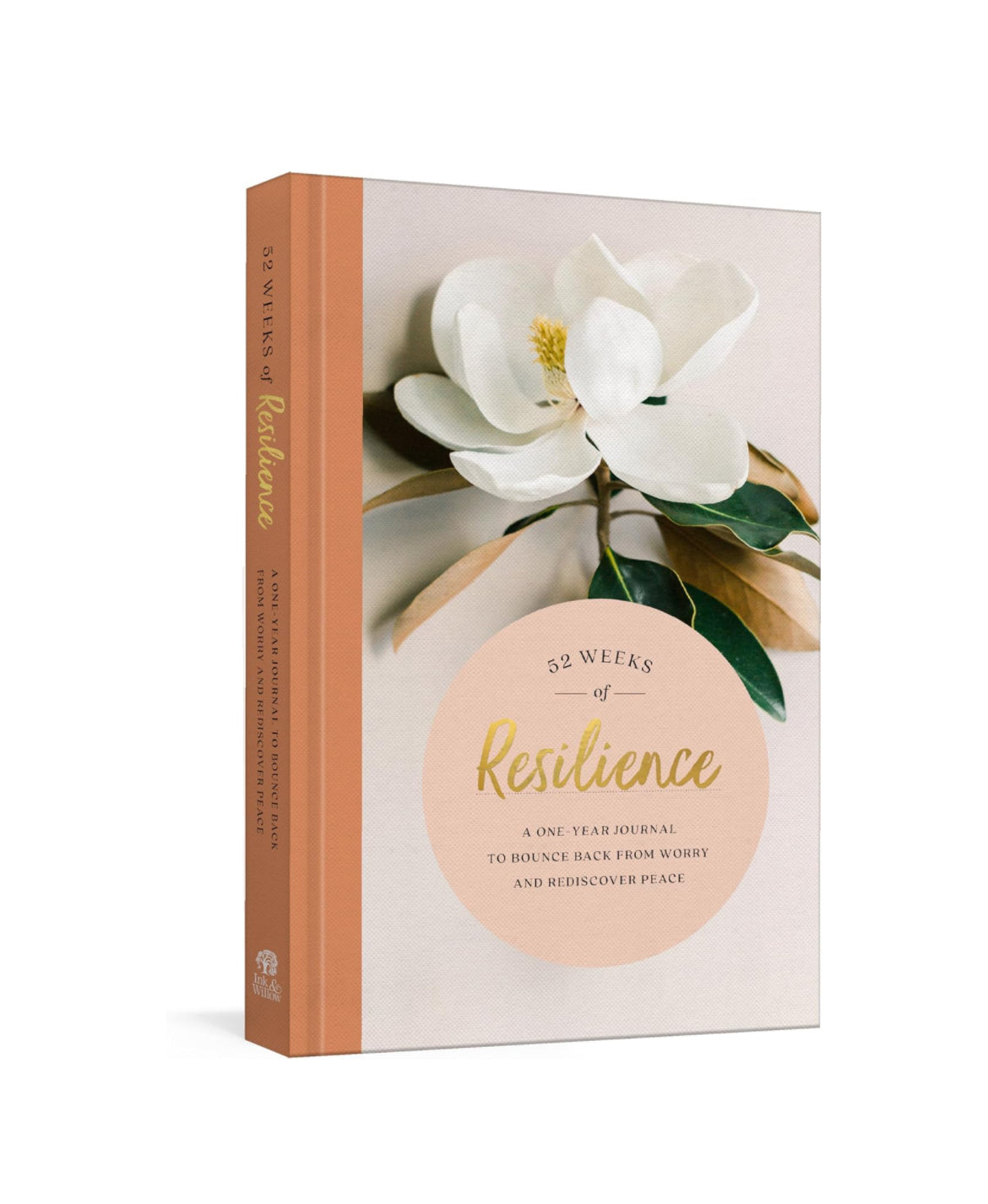 52 Weeks of Resilience - I AM INTENTIONAL 