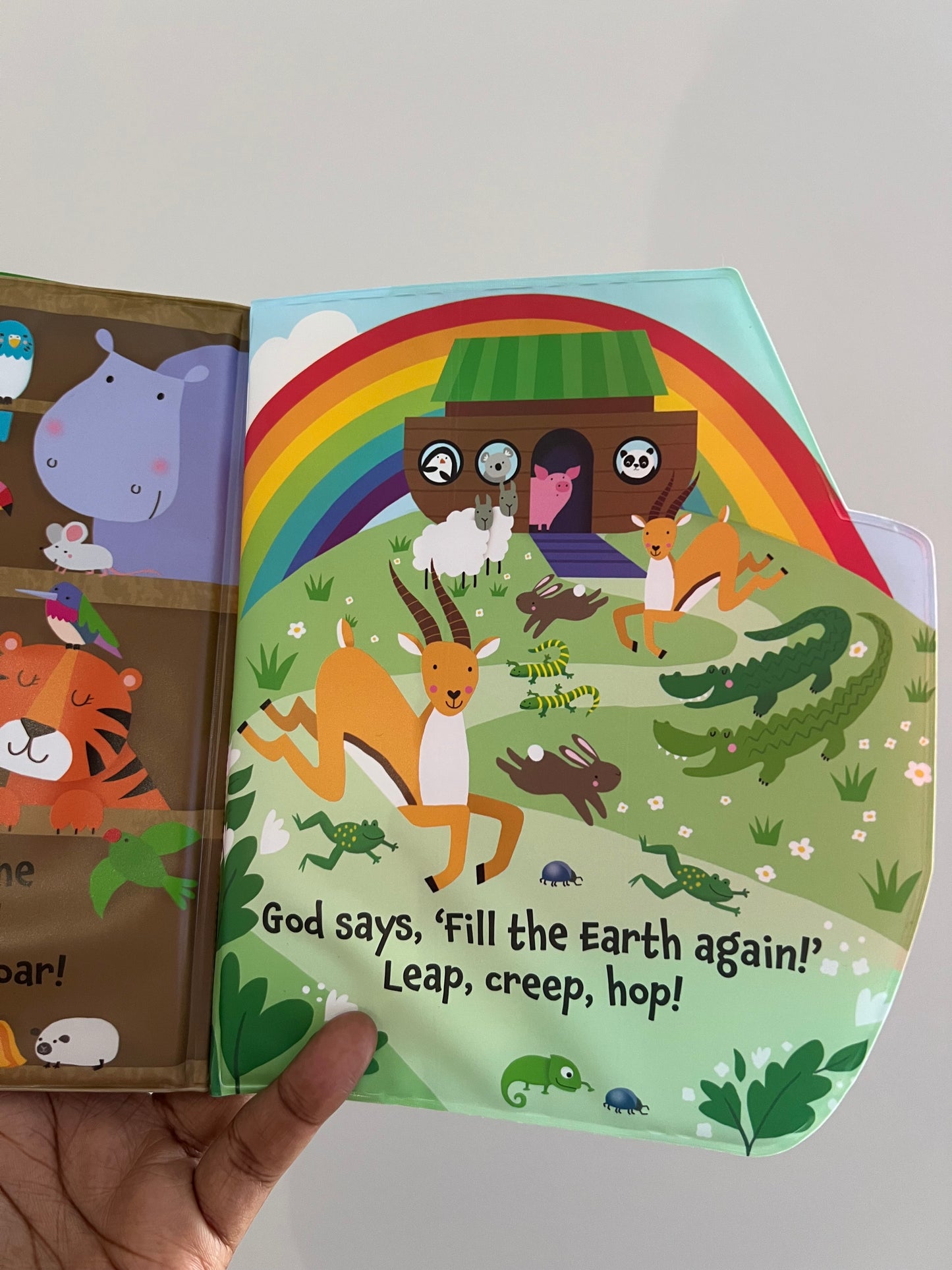 Noah’s Ark Bath book