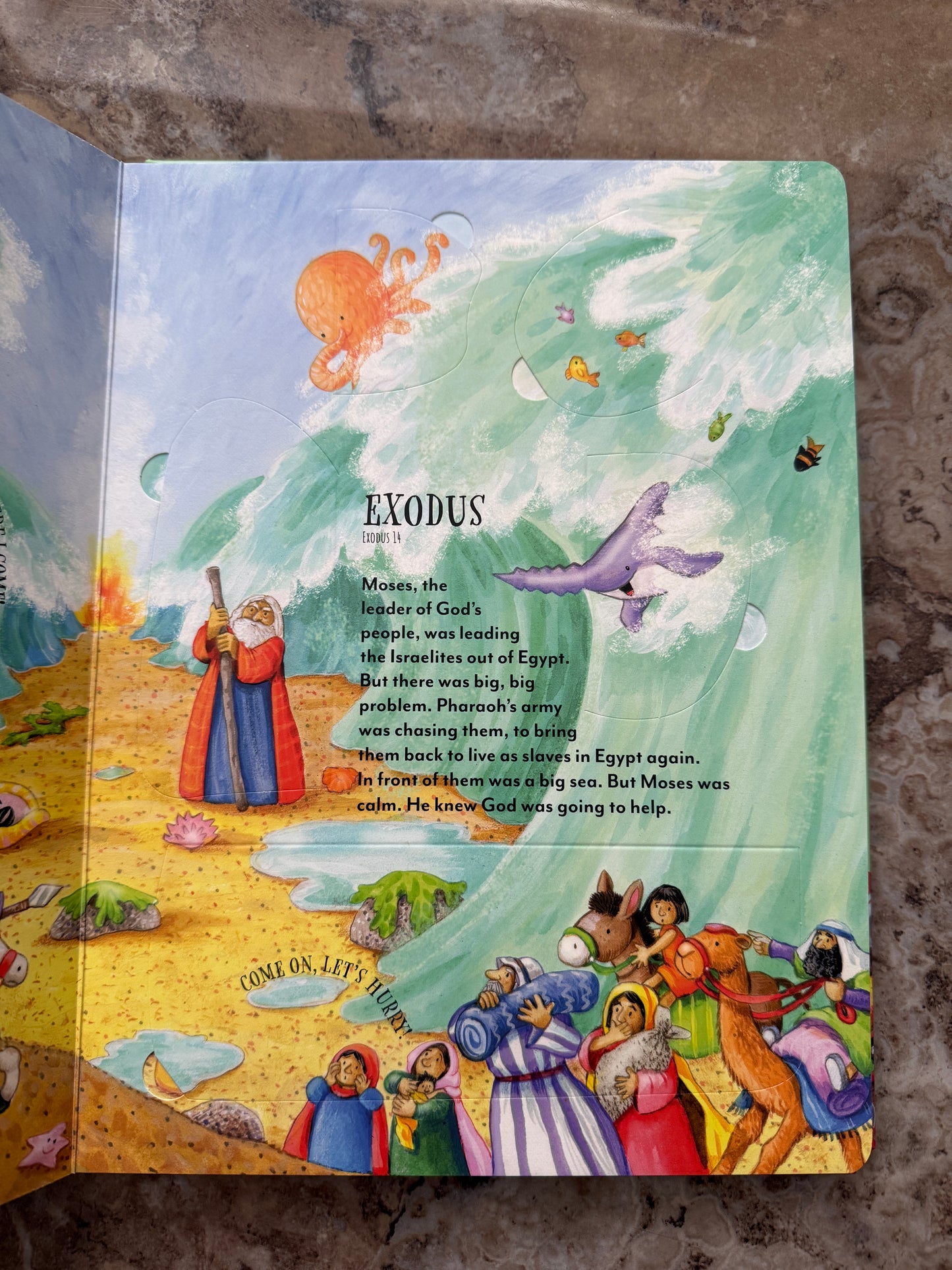 My Favourite Lift-the-Flap Bible - I AM INTENTIONAL 
