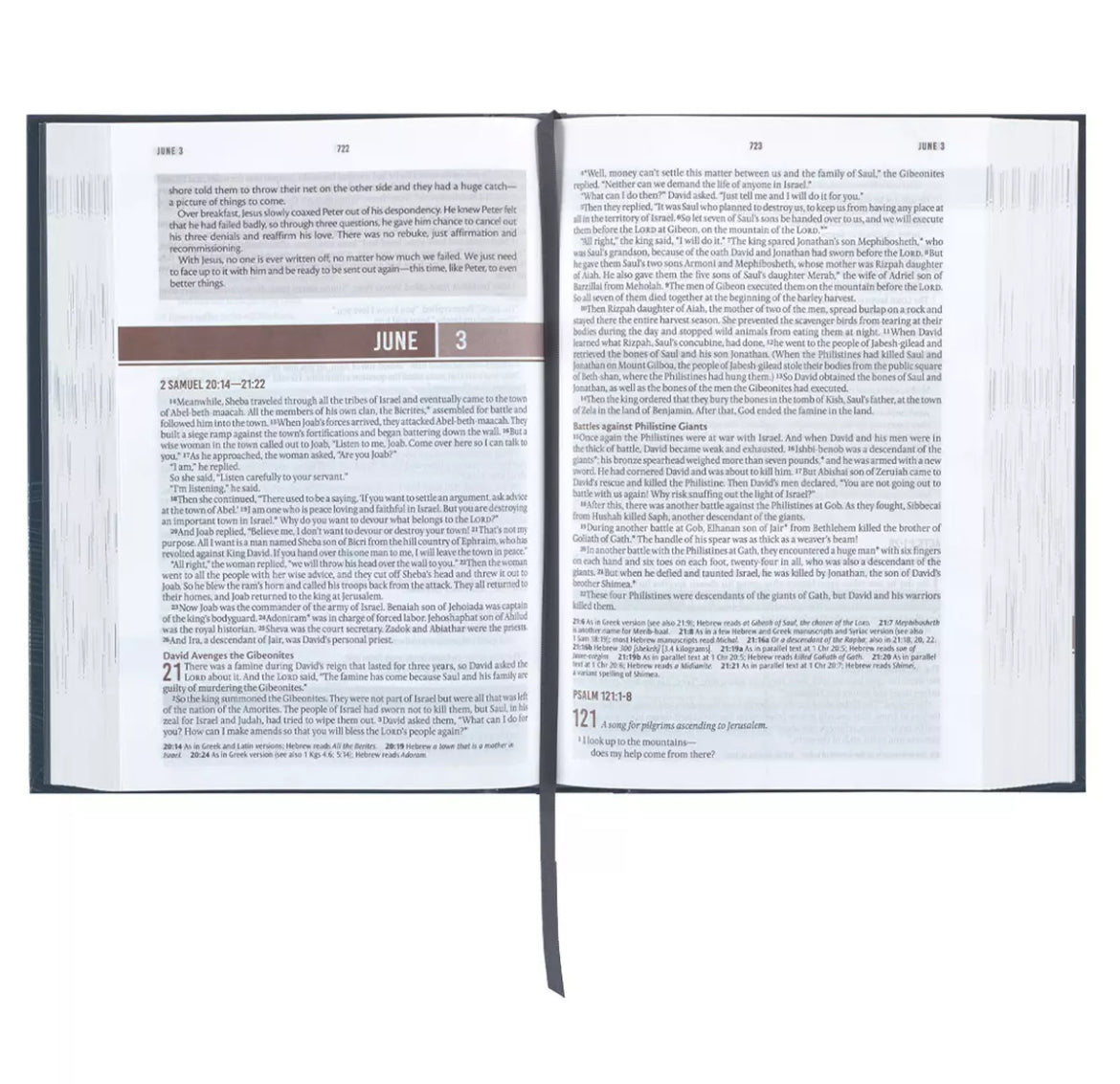 Devotional Bible NLT for Men Hardcover - I AM INTENTIONAL 