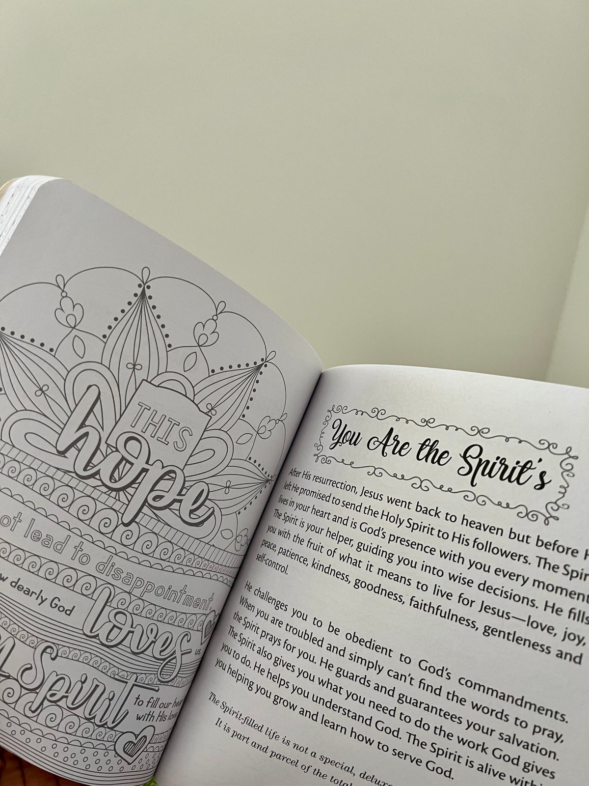 Illustrated Devotional for Women Softcover - I AM INTENTIONAL 