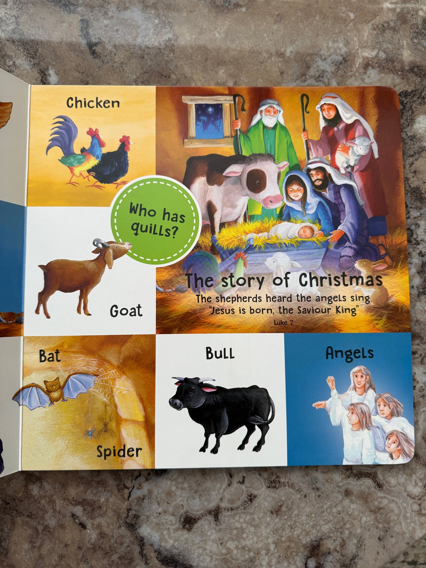 First Words Bible