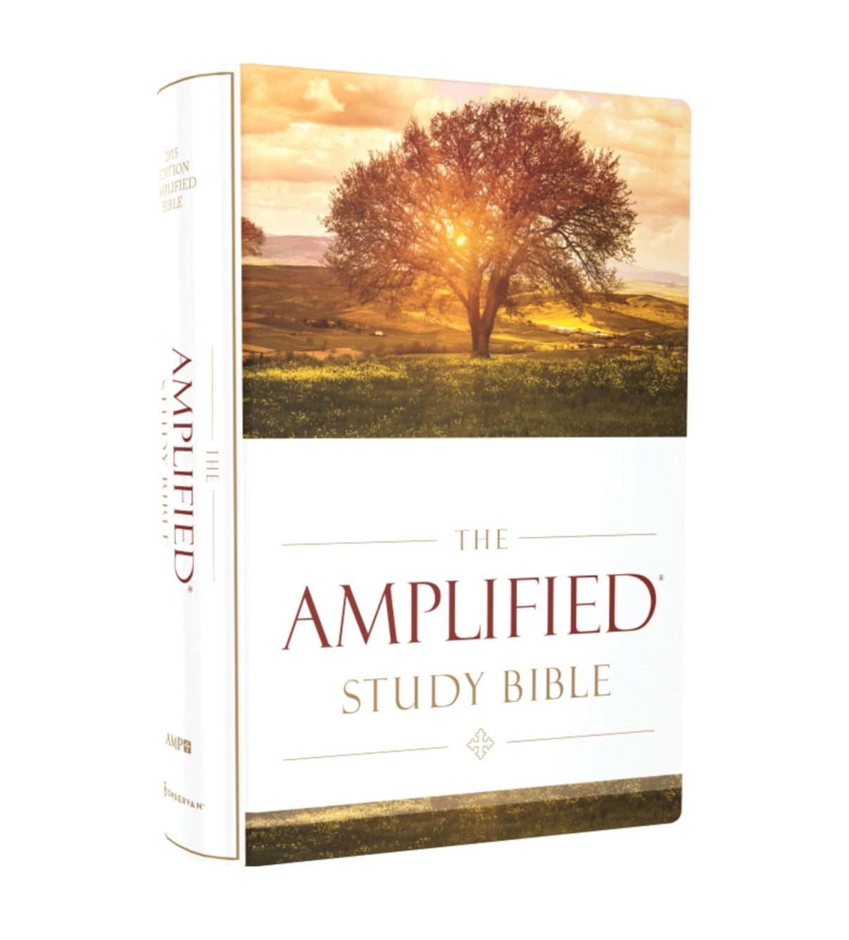 The Amplified Study Bible, Hardcover - I AM INTENTIONAL 