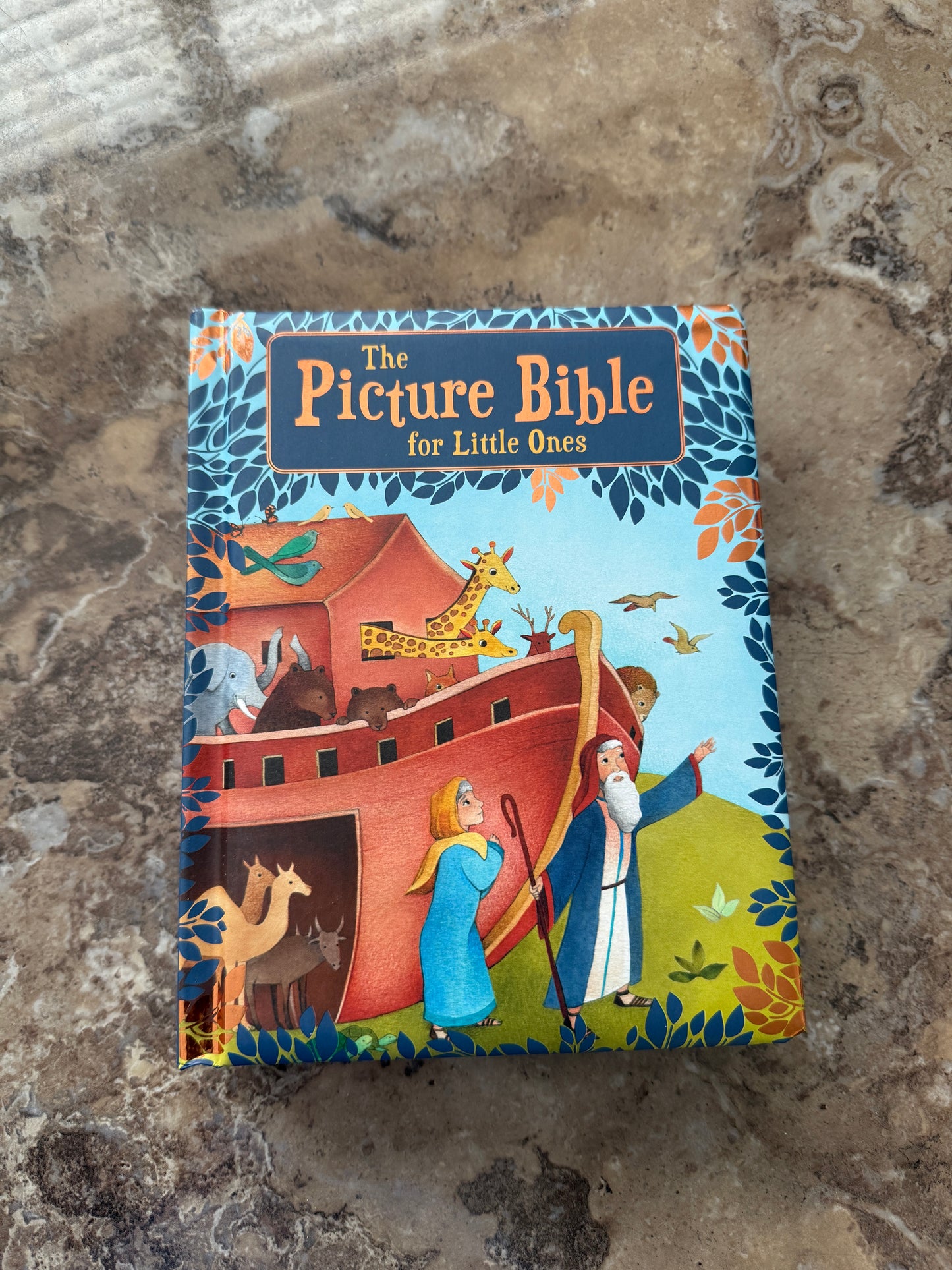 The Picture Bible for Little Ones - I AM INTENTIONAL 