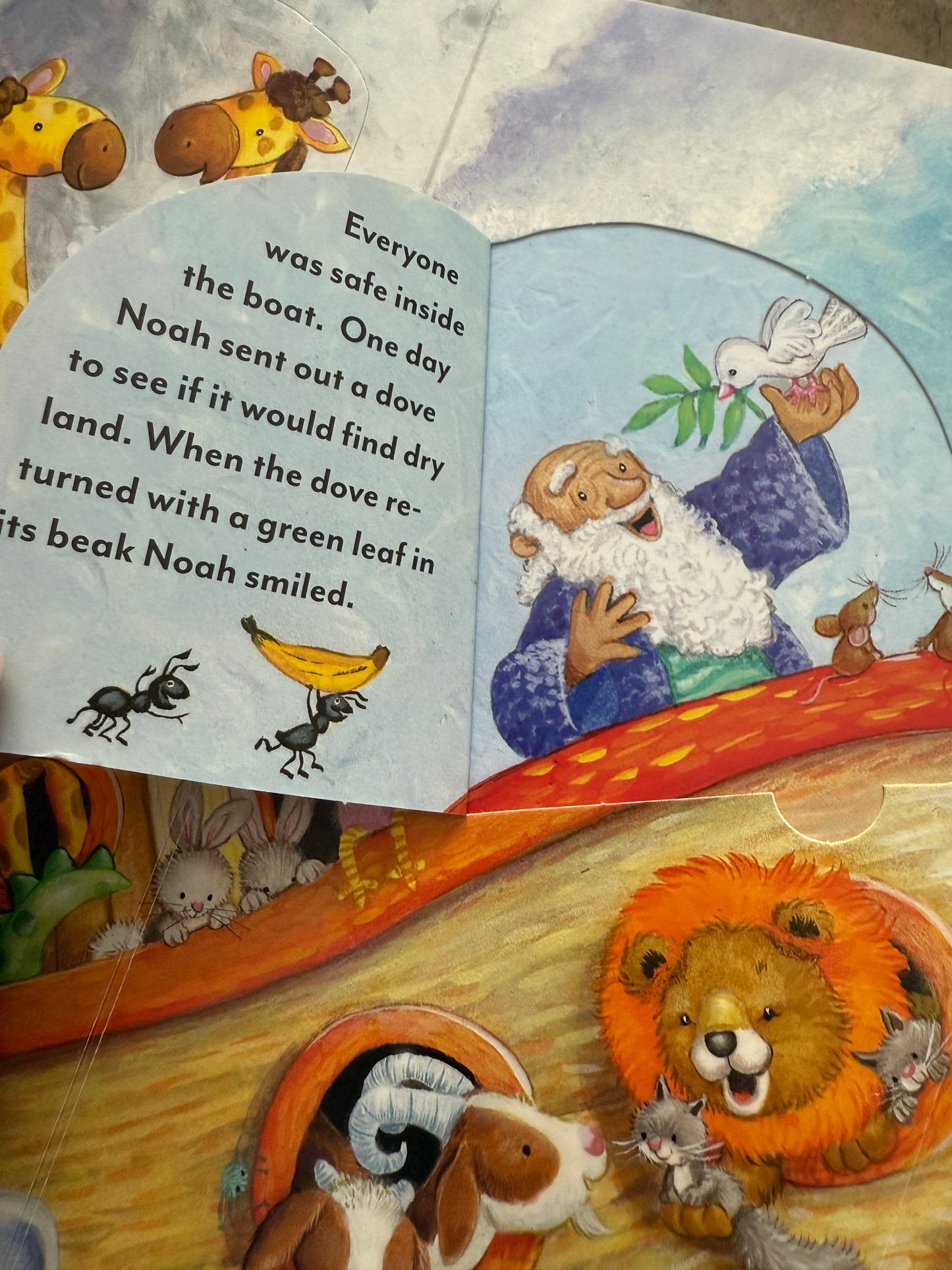 My Favourite Lift-the-Flap Bible - I AM INTENTIONAL 