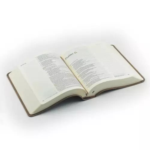 Hosanna Revival NLT Notetaking Bible – Beautiful Marlo Theme for Journaling - I AM INTENTIONAL 