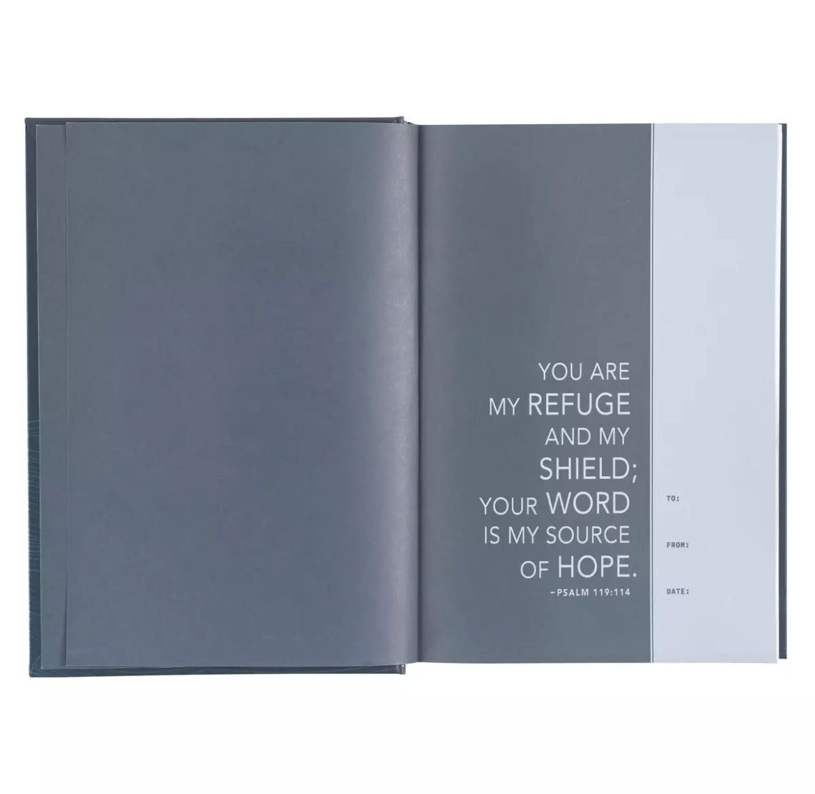 Devotional Bible NLT for Men Hardcover - I AM INTENTIONAL 