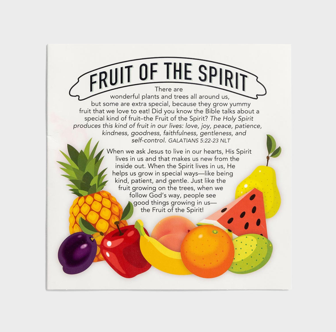 Fruit of the Spirit Play Set - I AM INTENTIONAL 