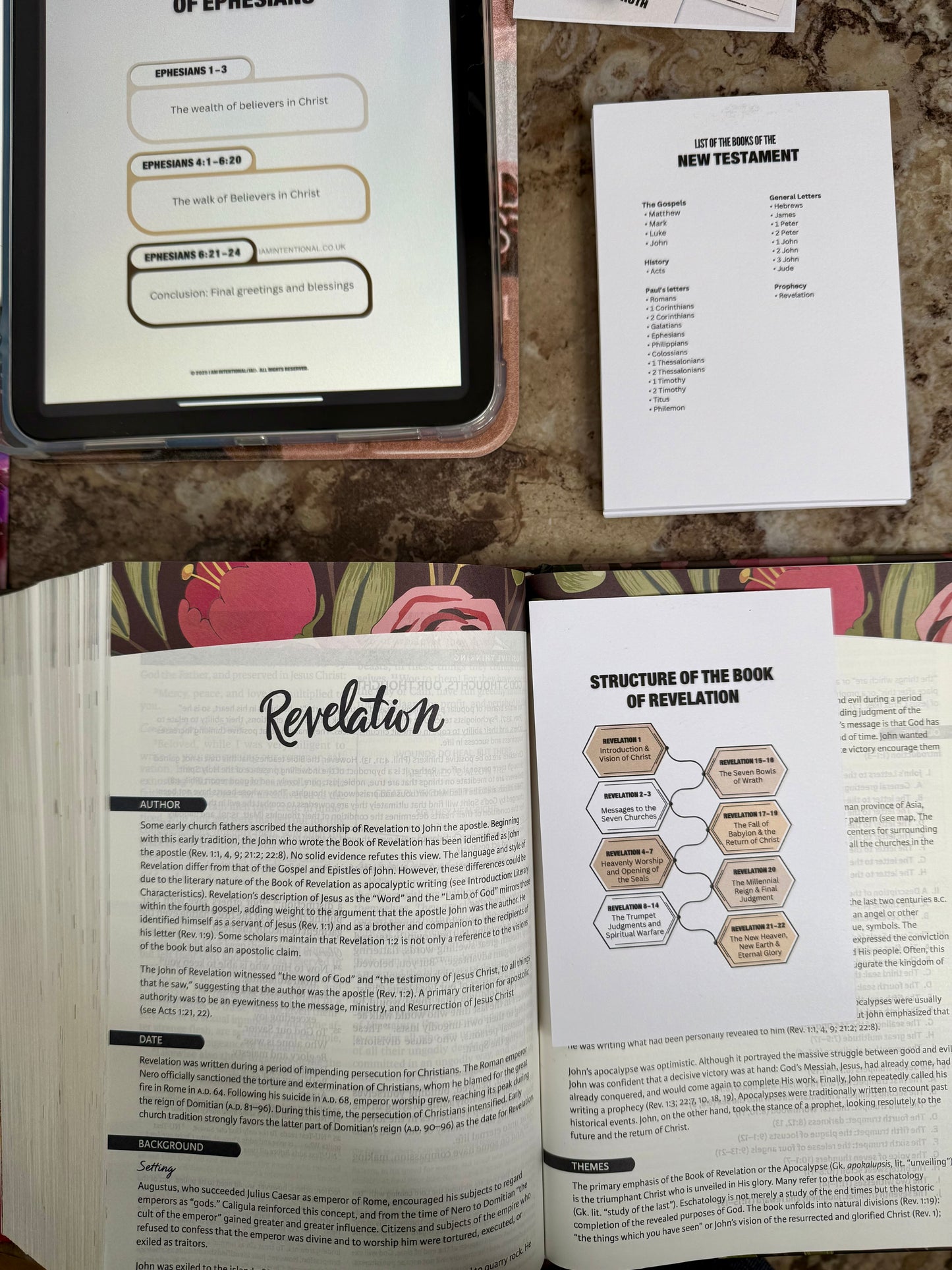 Bible Study Tip- Ins [Genesis to Revelation Overviews] - I AM INTENTIONAL 