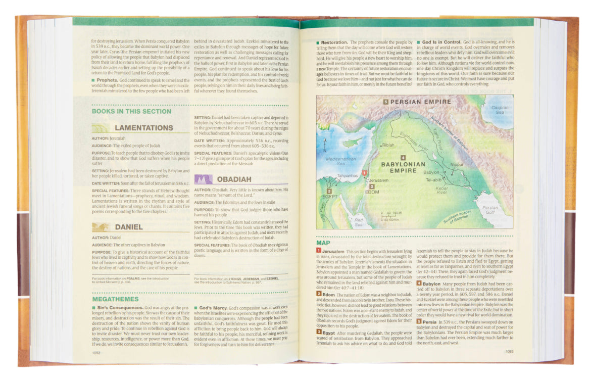 NLT Chronological Life Application Study Bible - I AM INTENTIONAL 