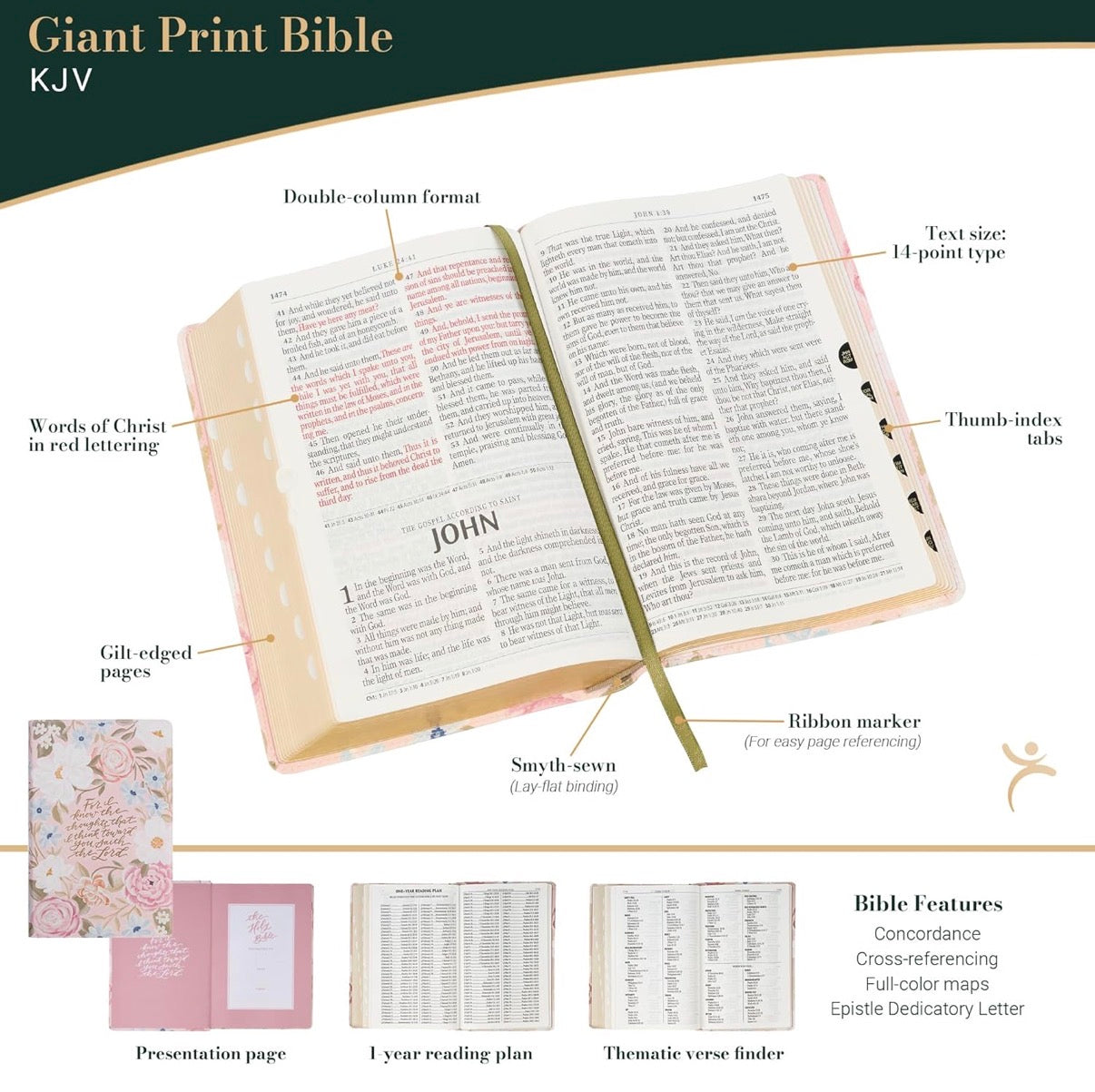 KJV Holy Bible, Giant Print Standard Size Red Letter Edition - I AM INTENTIONAL 