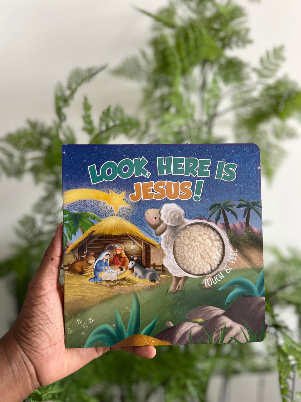Look, Here is Jesus!