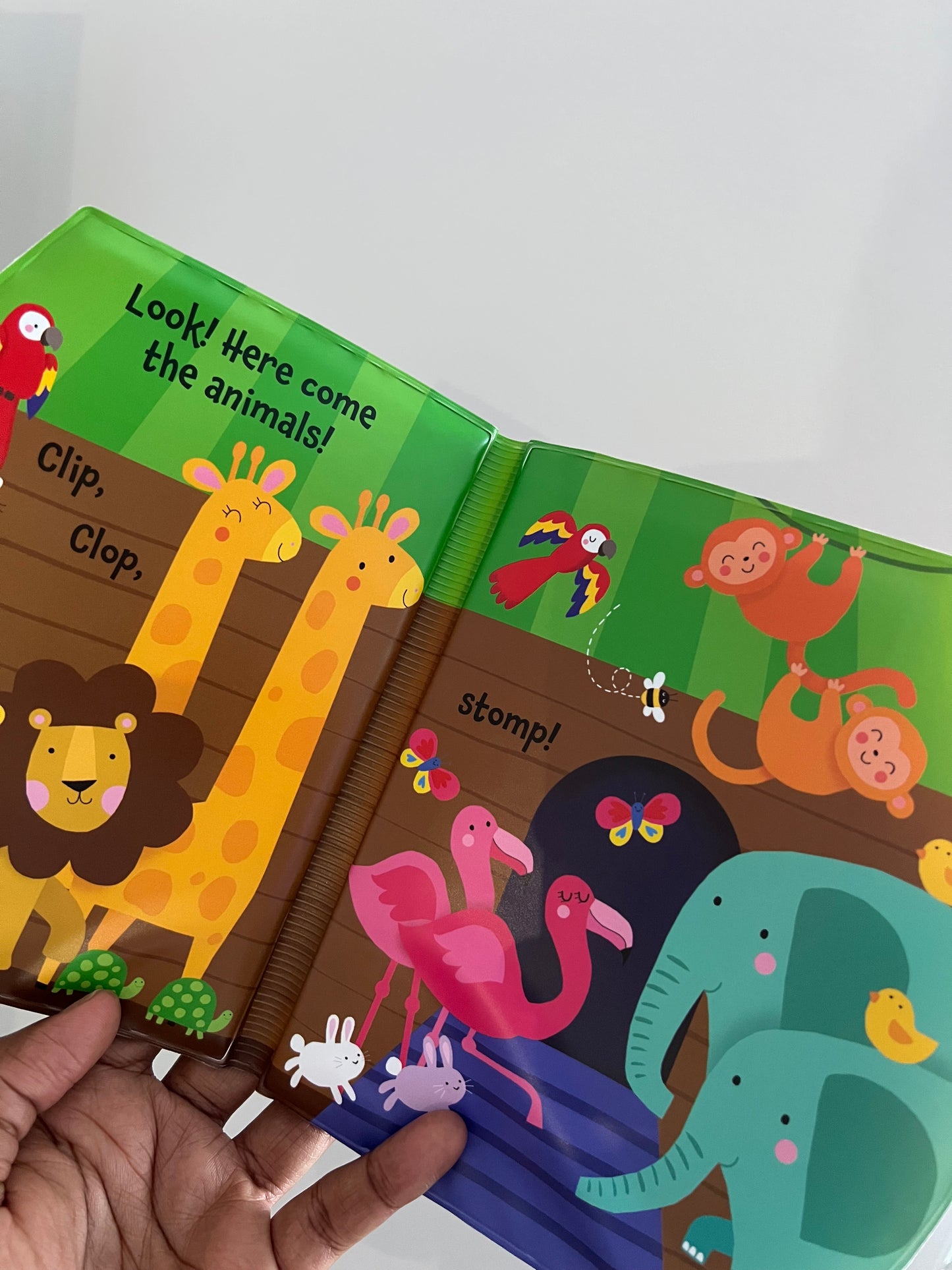 Noah’s Ark Bath book