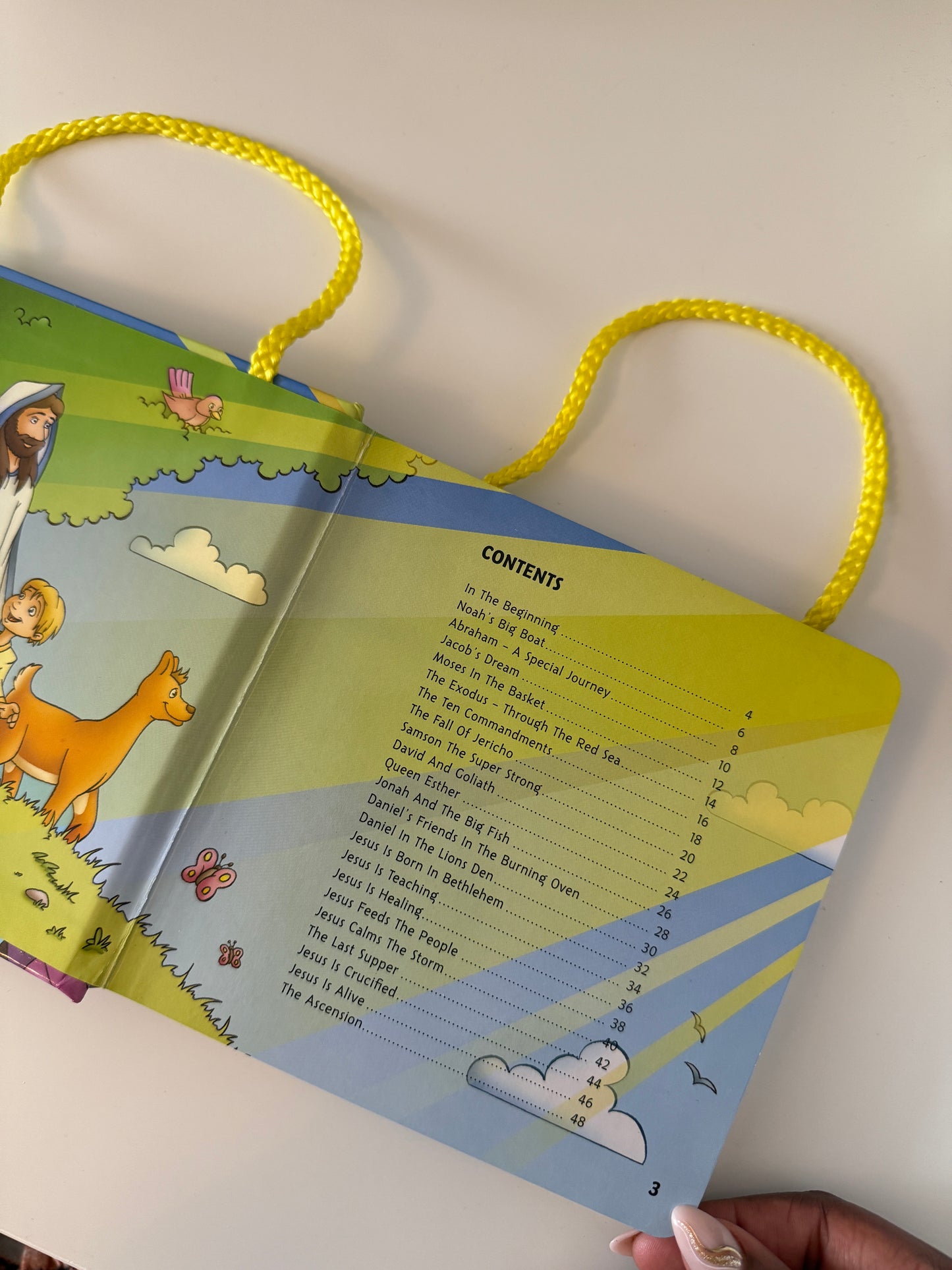 The Carry Along Bible - I AM INTENTIONAL 