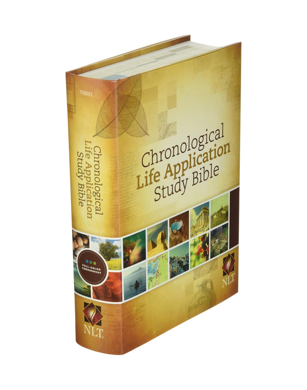 NLT Chronological Life Application Study Bible - I AM INTENTIONAL 