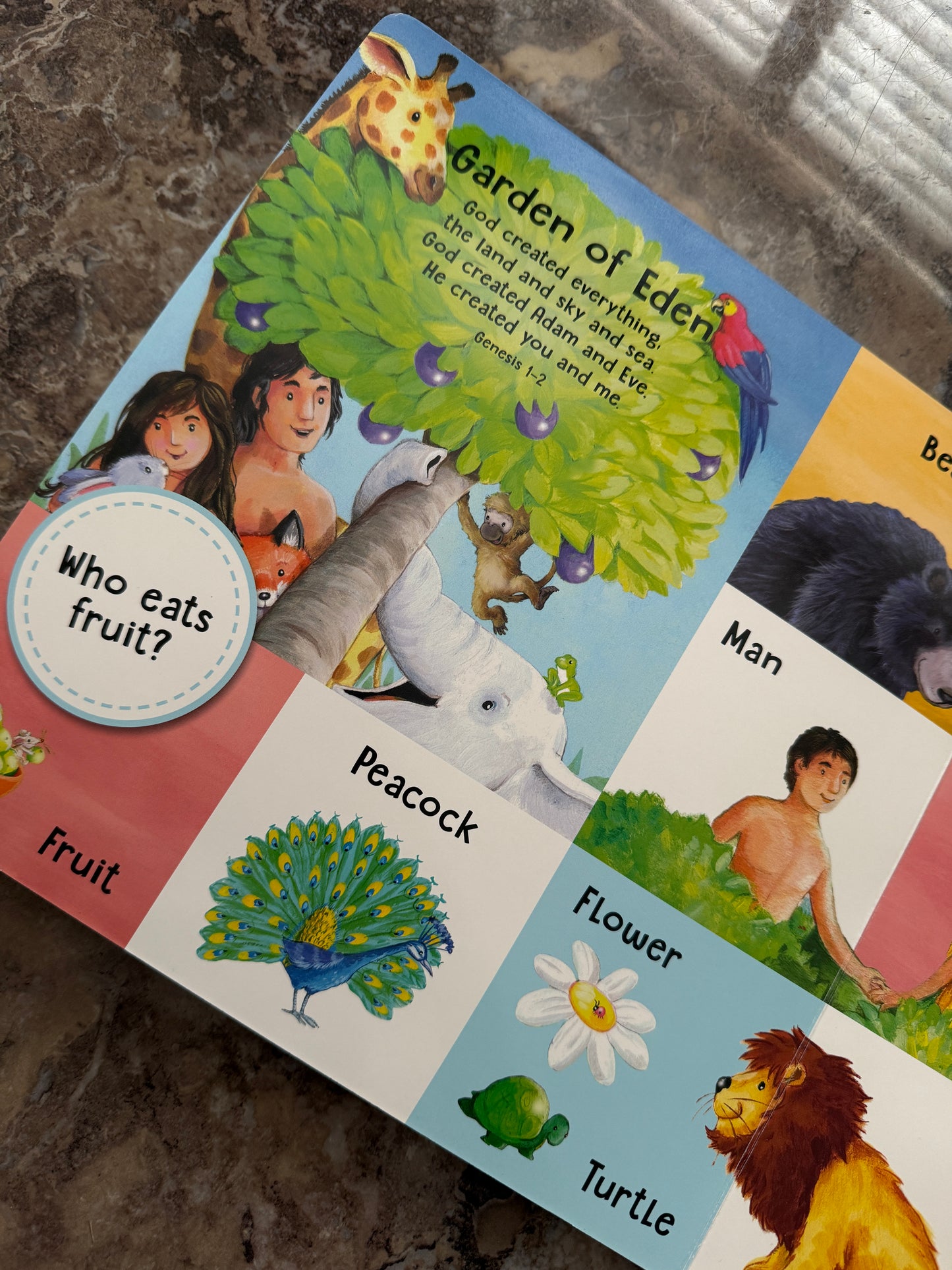 First Words Bible