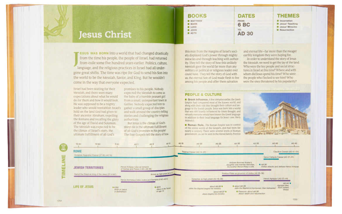 NLT Chronological Life Application Study Bible - I AM INTENTIONAL 