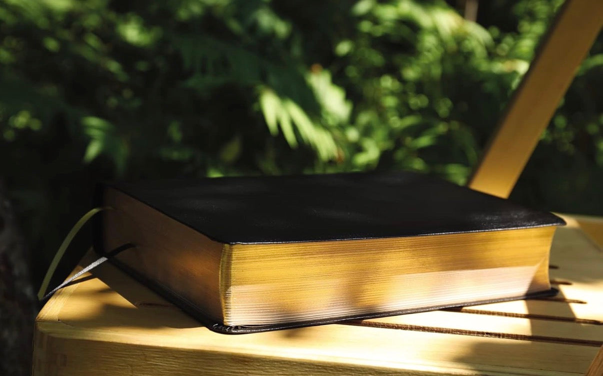 NASB, The Grace and Truth Study Bible - I AM INTENTIONAL 