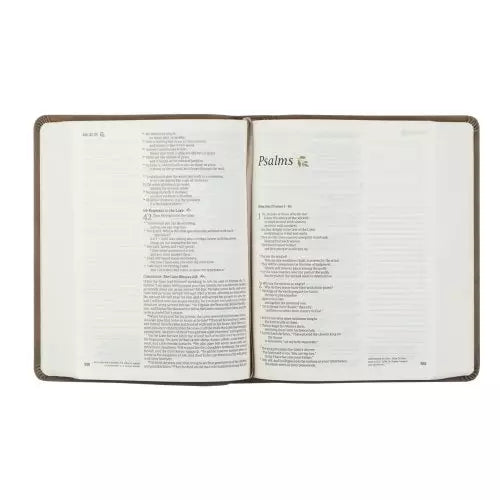 Hosanna Revival NLT Notetaking Bible – Beautiful Marlo Theme for Journaling - I AM INTENTIONAL 