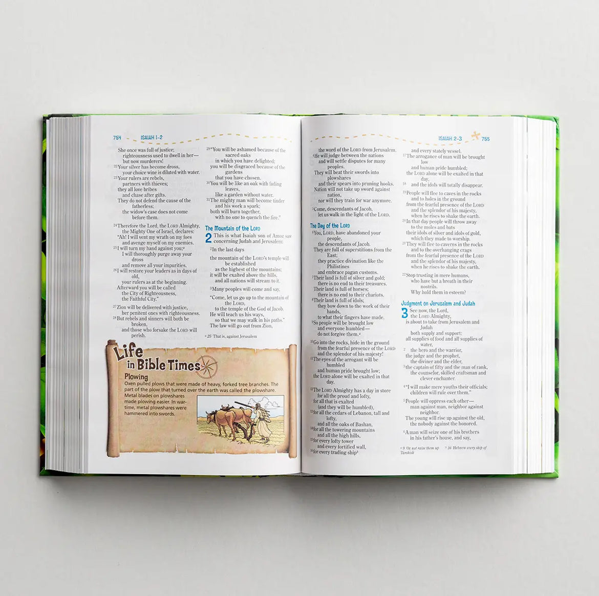 NIV Adventure Bible, Hardcover - I AM INTENTIONAL 