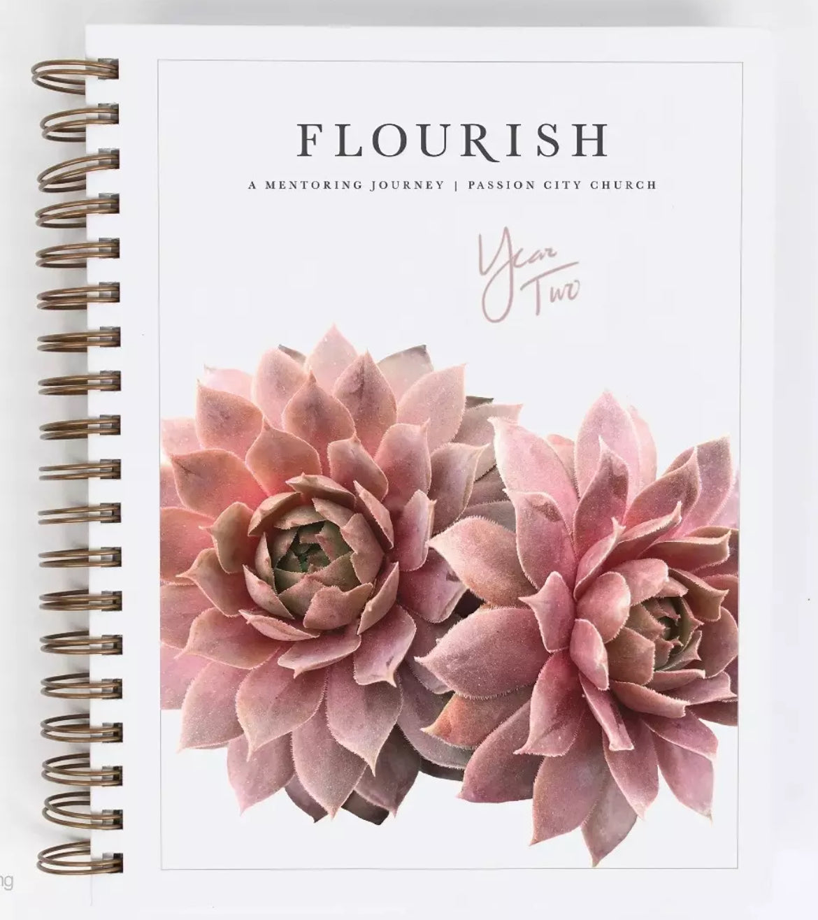 Flourish: A Mentoring Journey, Year Two - I AM INTENTIONAL 