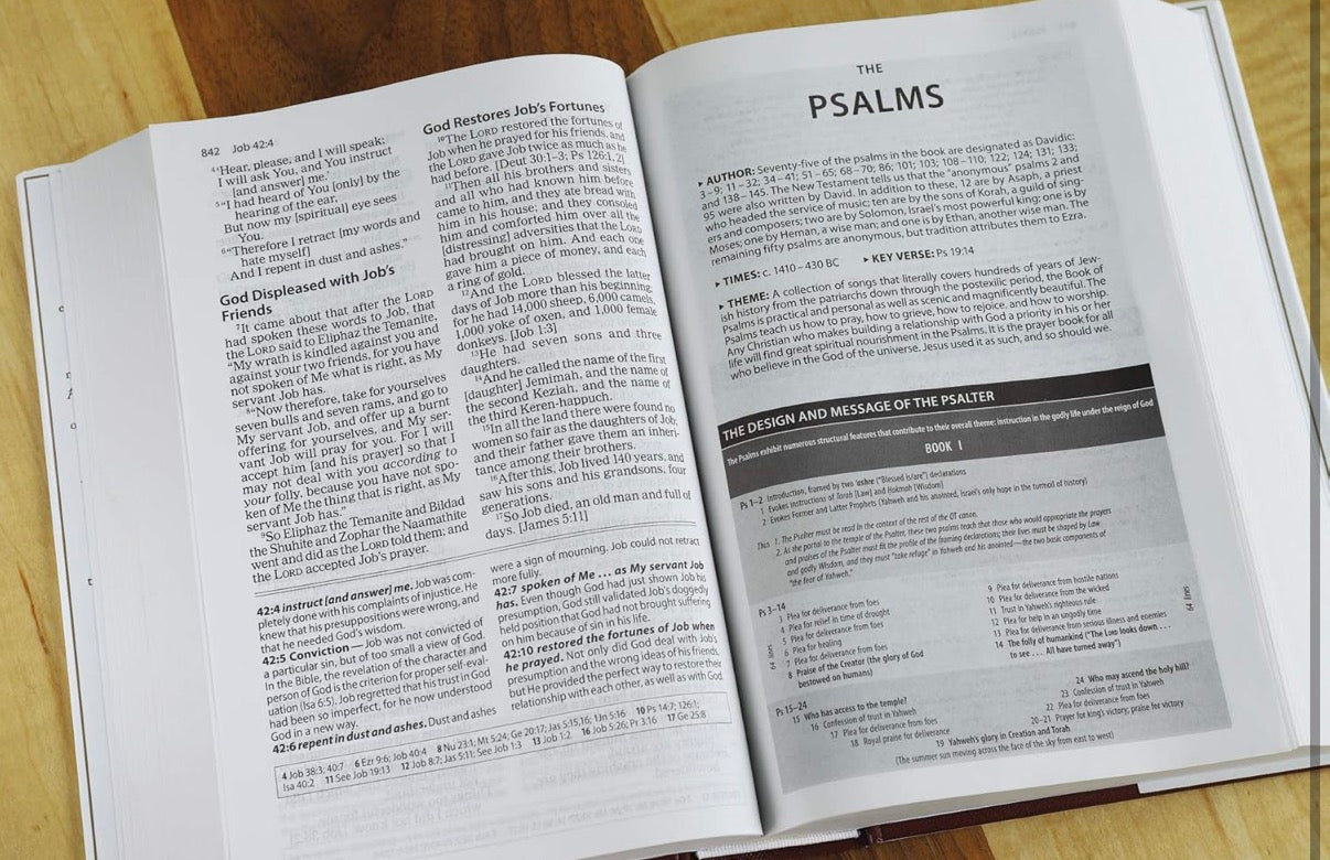 The Amplified Study Bible, Hardcover - I AM INTENTIONAL 