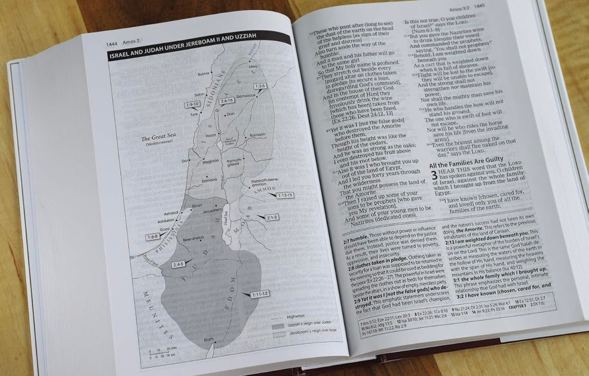 The Amplified Study Bible, Hardcover - I AM INTENTIONAL 